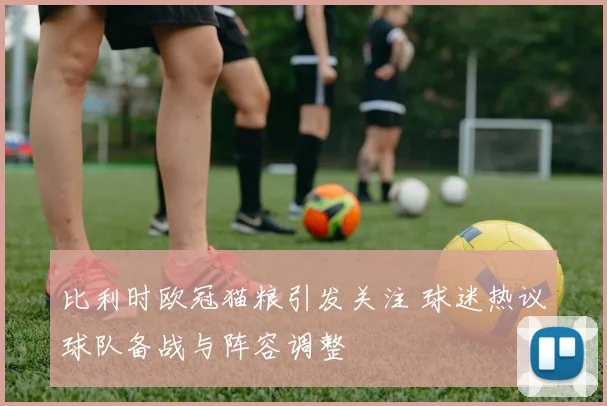 比利时欧冠猫粮引发关注 球迷热议球队备战与阵容调整