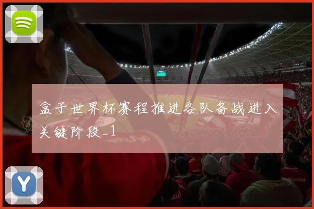 盒子世界杯赛程推进各队备战进入关键阶段_1