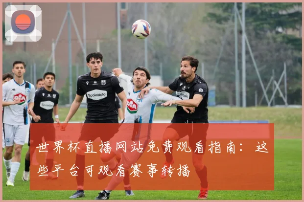 世界杯直播网站免费观看指南:这些平台可观看赛事转播
